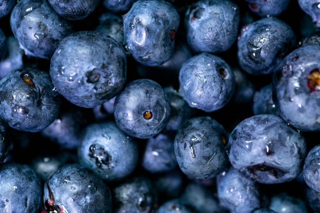 Jadi 'Fruit of the Year", Inilah 6 Ragam Manfaat Blueberry untuk Kesehatan