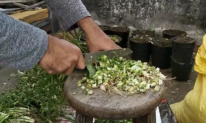 potongan sayur