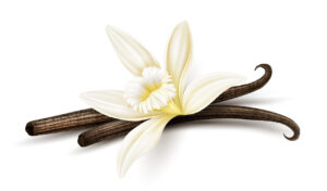 Manfaat Vanilla untuk Moodbooster