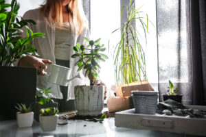 urban farming