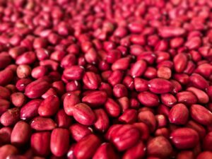 harga kacang merah