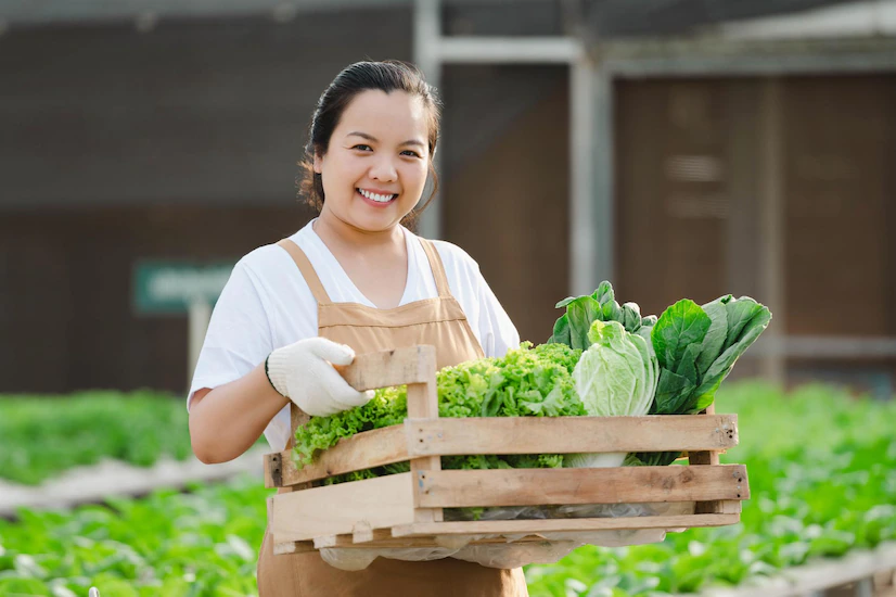 berkebun hidroponik