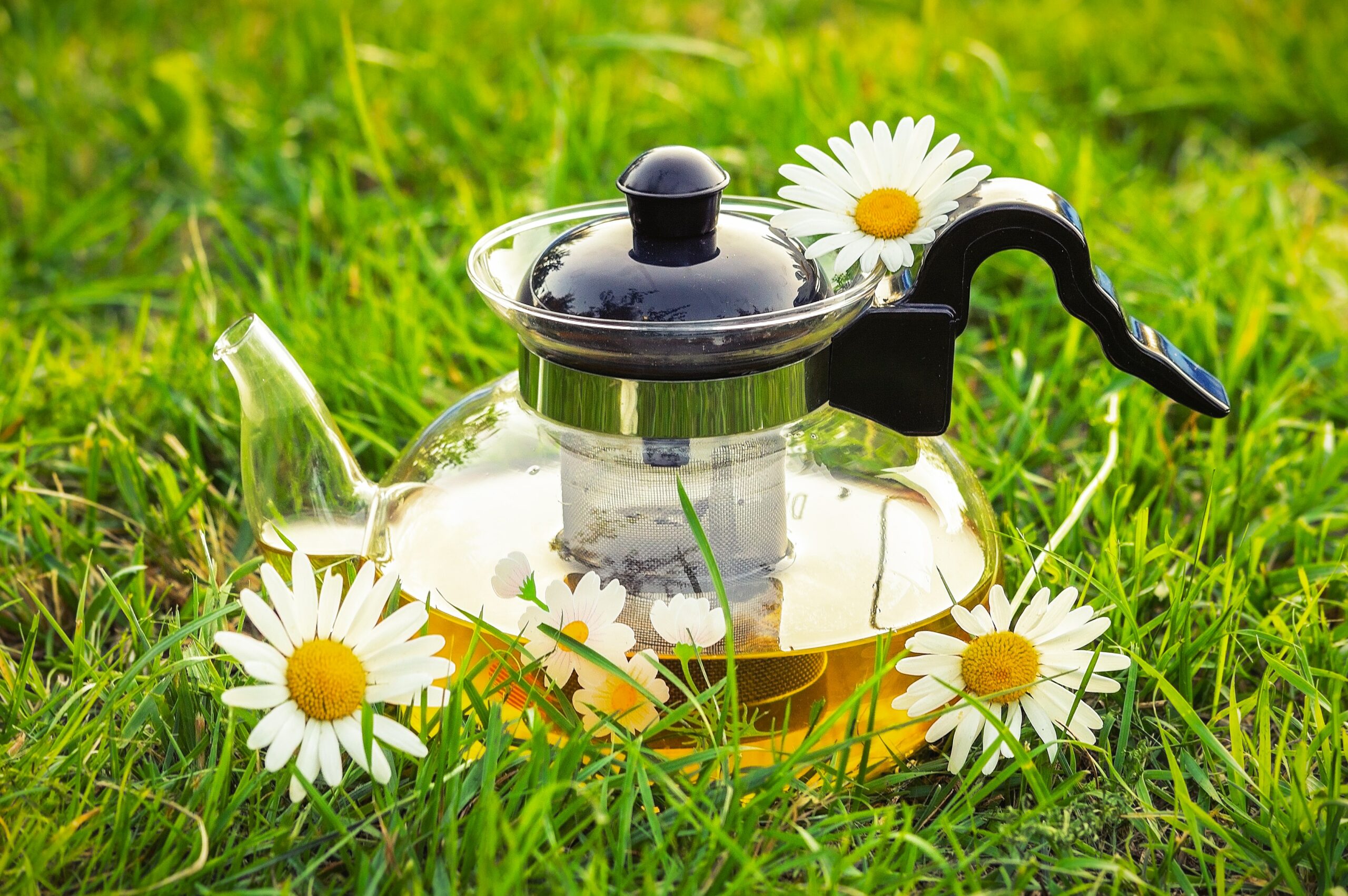 7 Manfaat Teh Chamomile untuk Memelihara Kesehatan Tubuh