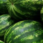 watermelons-5318938_960_720