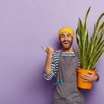 Glad salesman poses in florist shop with pot of green snake plant, shows direction where he bought potted flower for interior decoration, wears yellow hat, striped sailor jumper and grey apron