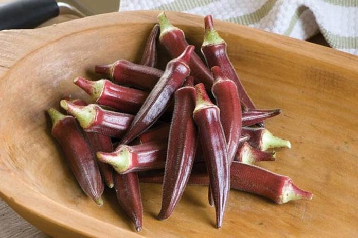 Okra Merah