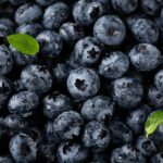 closeup-vertical-shot-blueberries-with-water-droplets-leaves_181624-1166