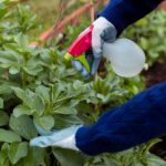 man-spraying-plants-garden_23-2148396745